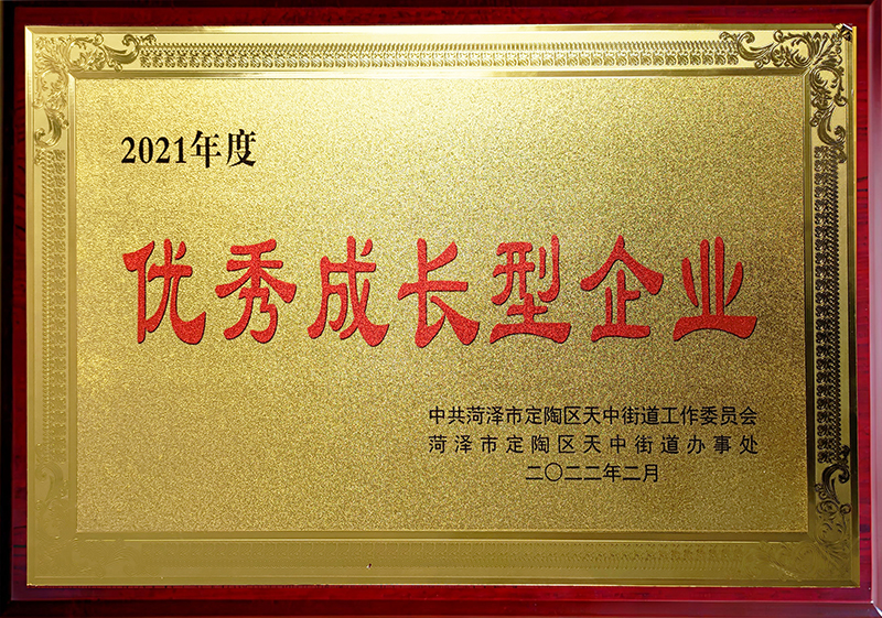 優(yōu)秀成長型企業(yè)
